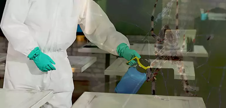 Why Buyers Still Want Homes With Pest Infestations in Baton Rouge, LA?