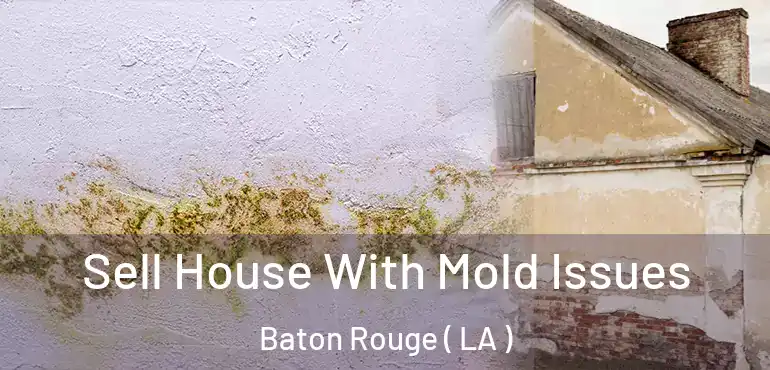  Sell House With Mold Issues Baton Rouge ( LA )